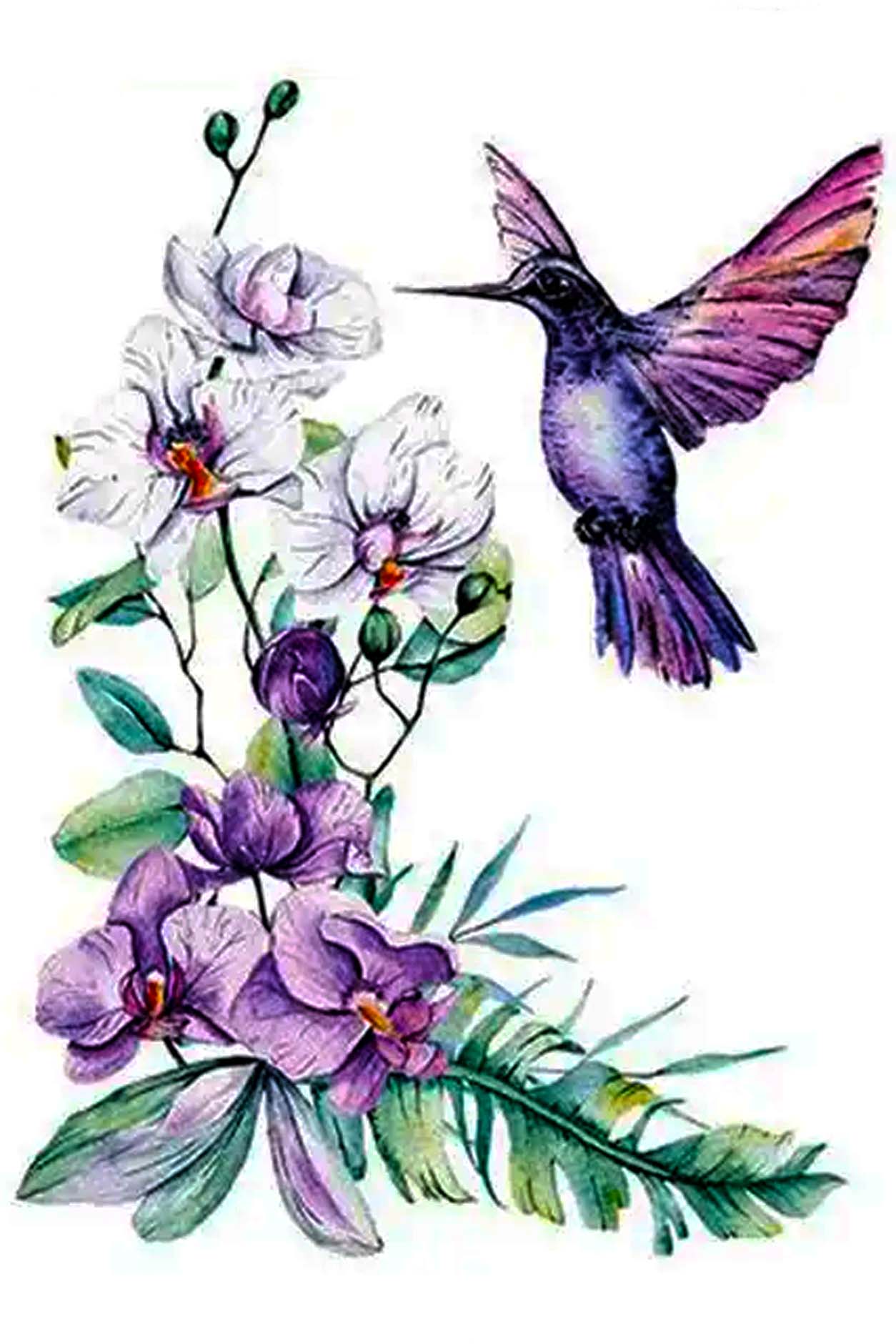 hummingbird flower tattoo drawing