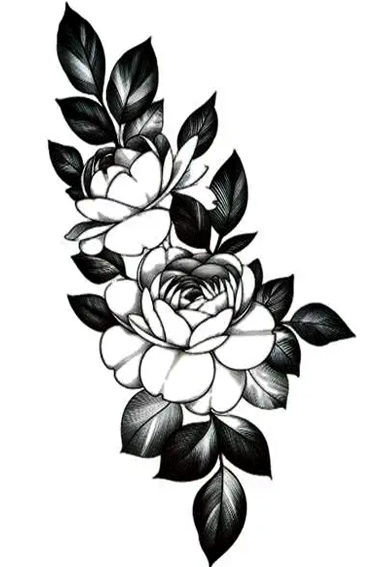 In the traditional black ink style, a gentle bouquet of two roses in a soft triangular shape. This artwork has the traditional feel and look of a realistic inked tattoo.   Creatively wear this artwork on any part of your body, arm, leg, torso, or shoulder.