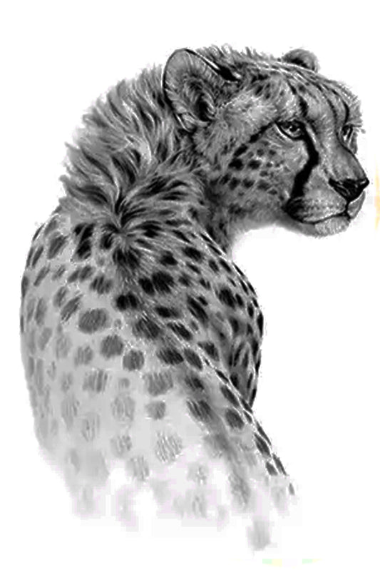 Cheetahs symbolize power, speed, and grace. They are often seen as a symbol of divine guidance. If you feel uncertain about your life path, the cheetah can signify that you are about to receive much-needed guidance. The cheetah can also help you connect with your intuition and inner wisdom. This graceful cheetah will endure on any body part, including hands, legs, arms, torso, and chest, for up to 8 days.