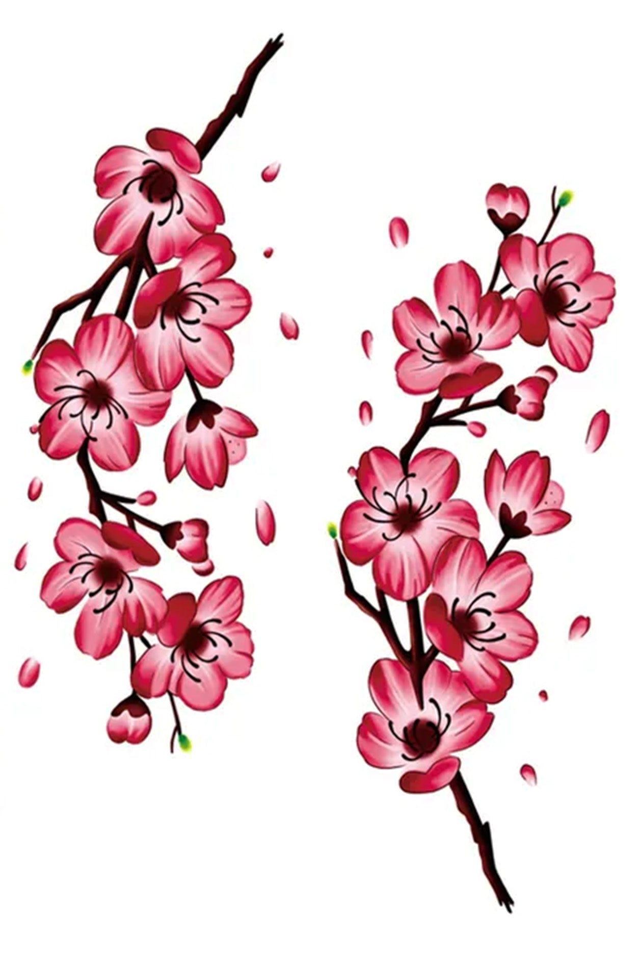 Two cherry blossom branches sustain an abundance of pink spring blooms. In old Buddhist stories, the cherry tree represents fertility and femininity.