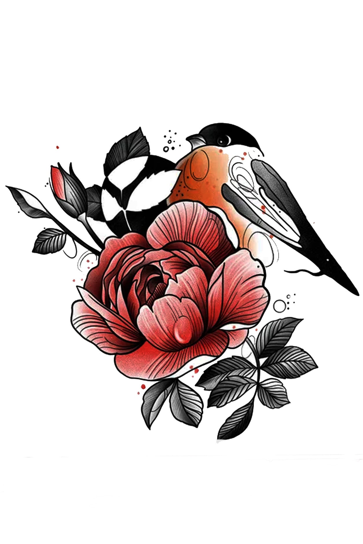 A fat stern robin is perched on a large pale red rose. The rose is in full bloom with a new bud ready to open, it is surrounded by leaves and soft motion circles.